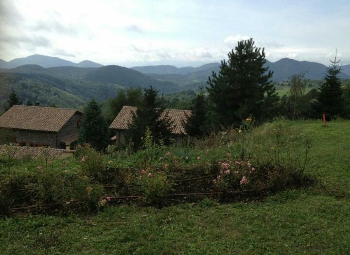 Casa Rural Mollo, Vall De Camprodon Екстер'єр фото
