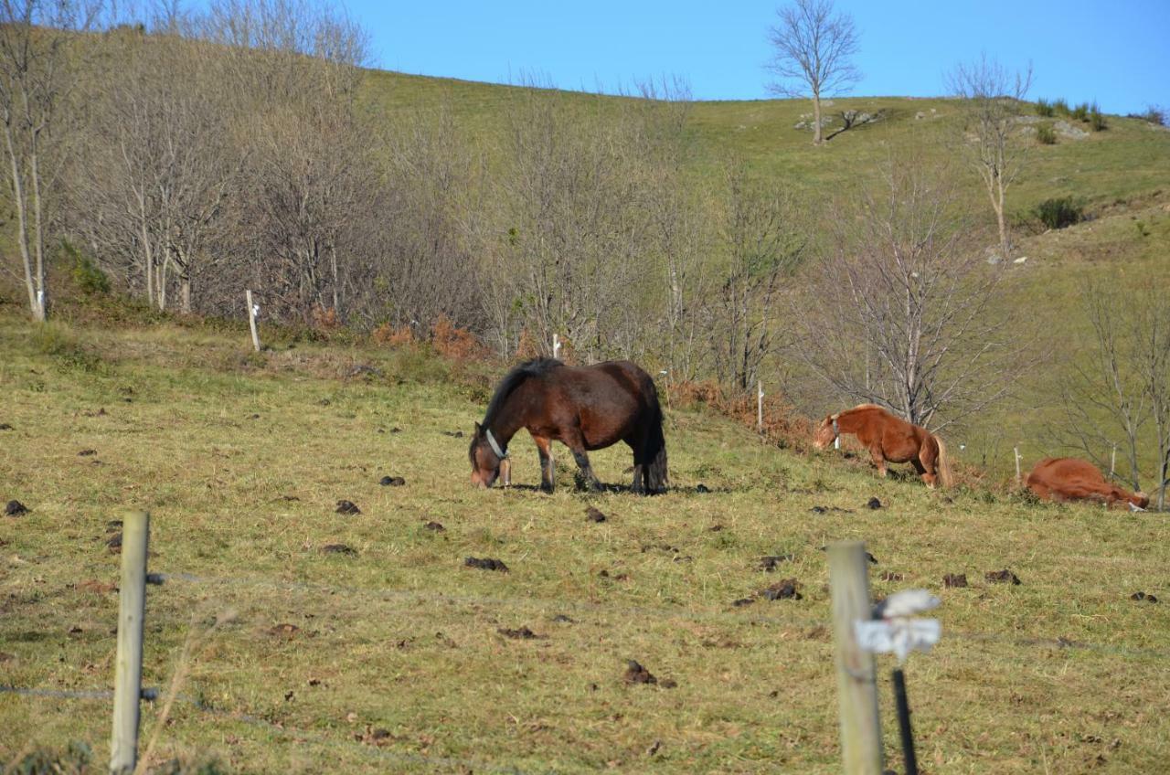 Casa Rural Mollo, Vall De Camprodon Екстер'єр фото